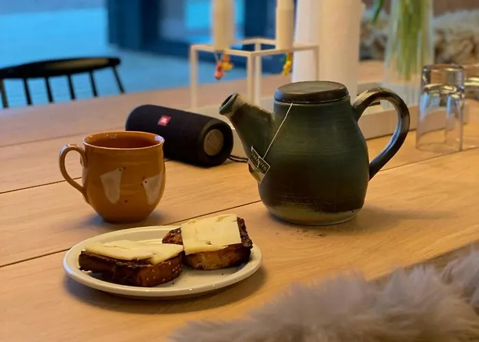 Hébergement de vacances House With Sea View In The Dunes At